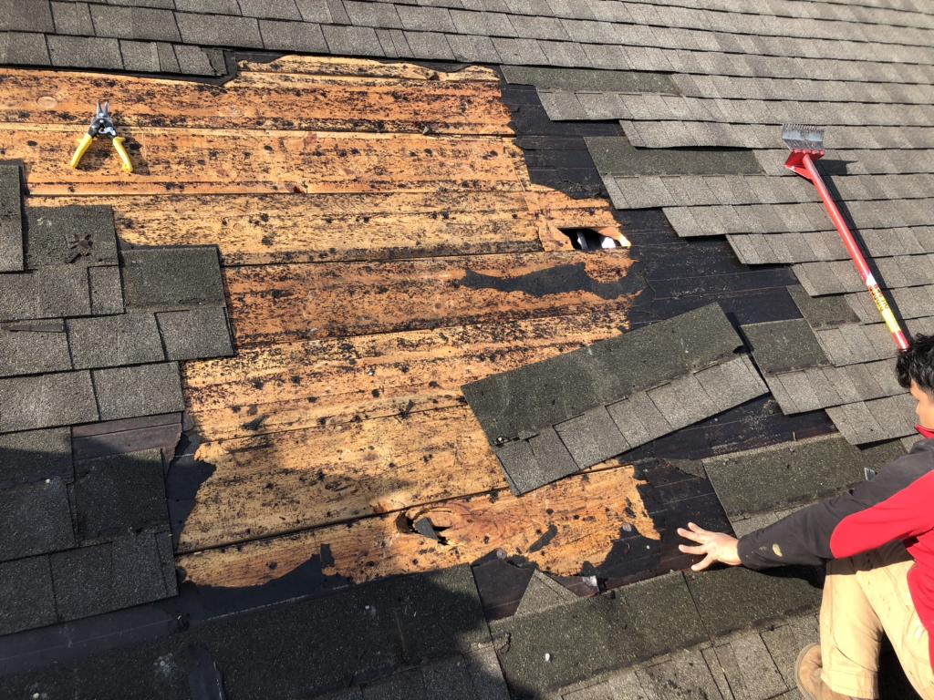 Roof Repair Chicago Illinois Roofing Company Enriquez Gutter