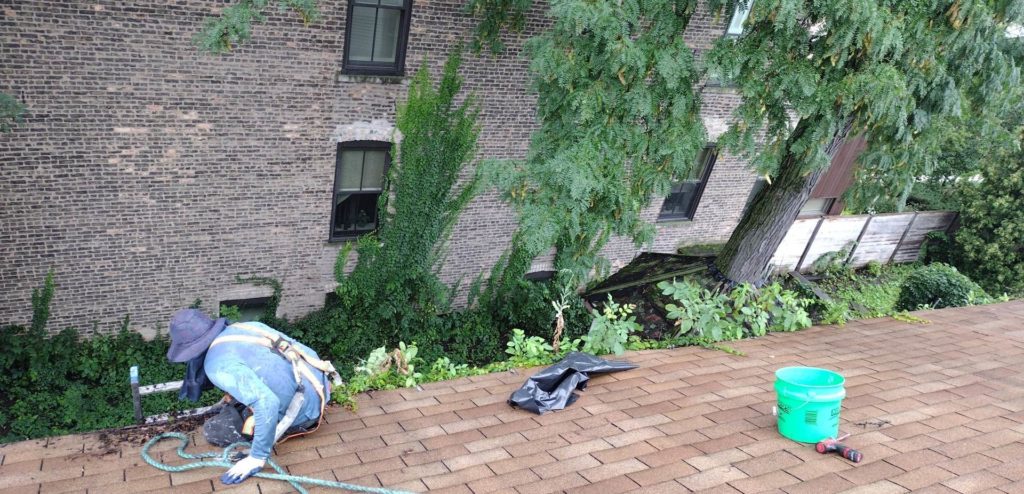 Gutter Cleaning