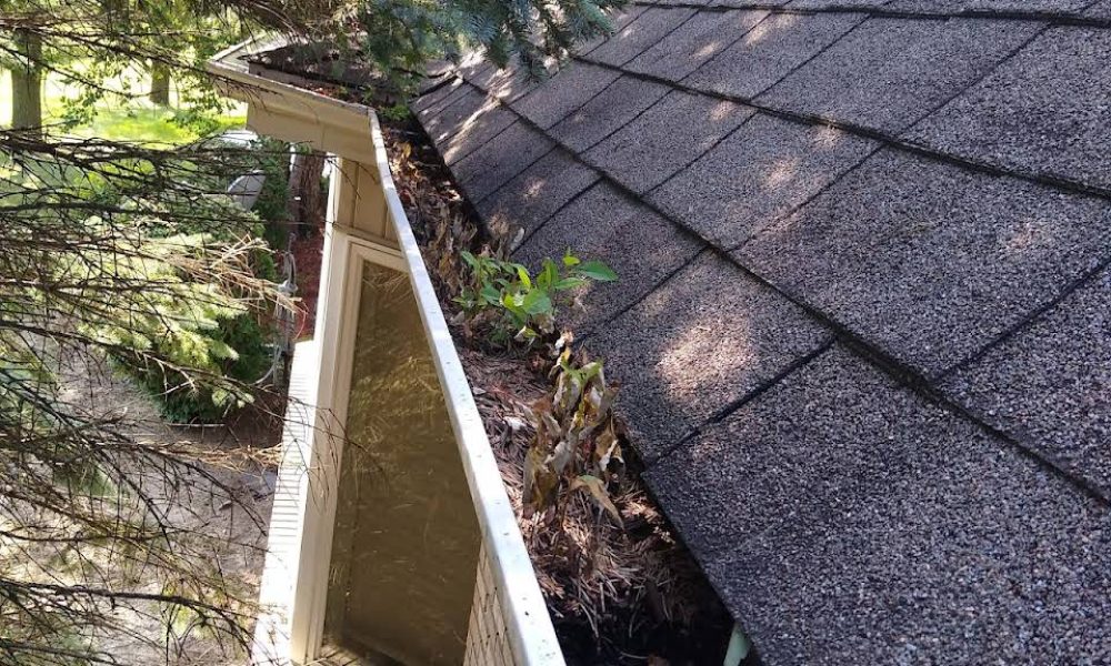 Gutter Cleaning